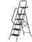 Easylife Step Ladder with Handrail - Lightweight & Folding, Supports 150kg, Non-Slip Steps, H166cm - Guaranteed