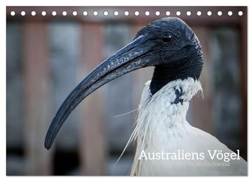 Australiens Vögel (Tischkalender 2026 DIN A5 quer), CALVENDO Monatskalender: Die wunderbare Vielfalt der australischen Vögel. (CALVENDO Tiere)