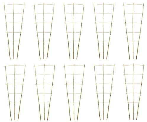 DARO DEKO Bambusrohr Rankgitter 44 x 110cm 10 Stück