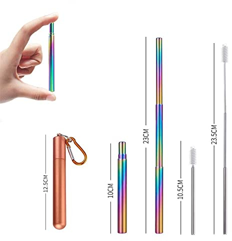 APIKA Pailles télescopiques réutilisables - Pailles à Boire Portables en Acier Inoxydable avec Brosse de Nettoyage, étui et Mousqueton(Or Rose+Paille Arc-en-Ciel)
