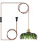 XZHGCEE Plug in Pendant Light Fixtures Vintage Pendant Light Fixture with Plug in Cord Hanging Light Glass Pendant Lights with Switch for Kitchen Island Dining Room Living Room