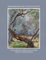 Meditation on a Fallen Leaf: for pedal harp and horn in F or cello