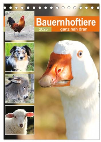 Bauernhoftiere, ganz nah dran (Tischkalender 2025 DIN A5 hoch), CALVENDO Monatskalender