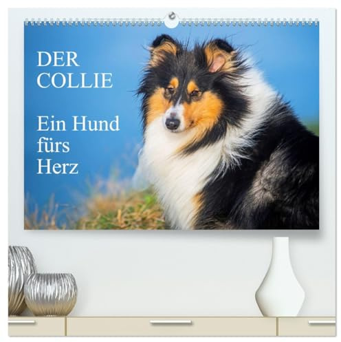 Der Collie - ein Hund fürs Herz (hochwertiger Premium Wandkalender 2026 DIN A2 quer), Kunstdruck in Hochglanz: 13 wundervolle Fotos der Fotografin ... begleiten und durch das Jahr (CALVENDO Tiere)