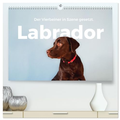 Labrador - Der Vierbeiner in Szene gesetzt. (hochwertiger Premium Wandkalender 2026 DIN A2 quer), Kunstdruck in Hochglanz: Erleben Sie die besten Bilder von Labradoren. (CALVENDO Orte)