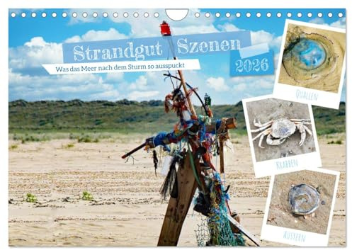 Strandgut Szenen (Wandkalender 2026 DIN A4 quer), CALVENDO Monatskalender: Was das Meer nach dem Sturm so ausspuckt (CALVENDO Natur)