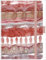 Premium Timer Big Ruby & Rose 2024: Hochwertiger Buchkalender. Terminplaner mit Wochenkalendarium, Gummiband und Stifthalter. 12 x 17 cm