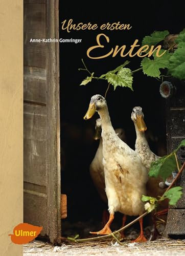 Unsere ersten Enten: Laufenten, Pommernenten und Co.