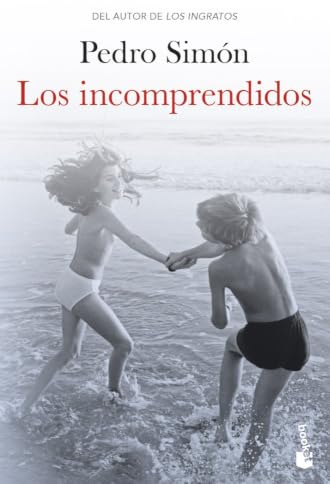 Los incomprendidos (Novela)