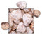 KiesKönig 25 kg Marmorkies Verona Rot Körnung 60/100 mm direkt