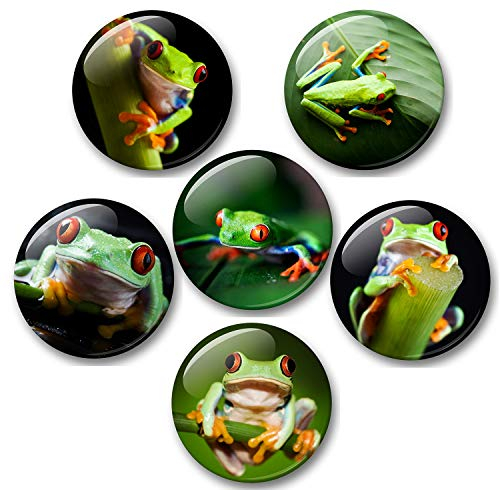 Merchandise for Fans Frosch grün mit roten Augen - 6 große Kühlschrankmagnete [ 01 ] für Memoboard Pinnwand Magnettafel Whiteboard