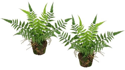 Flair Flower Lot de 2 fougères forestières artificielles en Pot de 23 cm - Plante en Pot - Fougère Boston - Plante en Pot - Plante Artificielle - Plante forestière - Plante d'intérieur