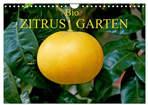 Bio Zitrus Garten (Wandkalender 2026 DIN A4 quer), CALVENDO Monatskalender