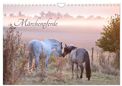 Märchenpferde (Wandkalender 2026 DIN A4 quer), CALVENDO Monatskalender: Zauberhafte Pferdemotive fotografiert am frühen Morgen (CALVENDO Tiere)