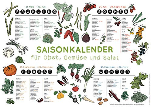 Saisonkalender für Obst, Gemüse und Salat: Was ist reif zu welcher Jahreszeit? Wandbild auf stabilem Karton zum Aufhängen mit Öse. Für alle, die nachhaltig essen u. saisonal-regional einkaufen wollen