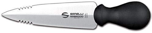 Sanelli Ambrogio S210.015 Ambrogio Sanelli-Supra-Coltello Lancia, Ideale per Grana e Parmigiano. Manico Ergonomico in Polipropilene. Lama: Liscia, in Acciaio Inox. Cm: 15, Stainless Steel