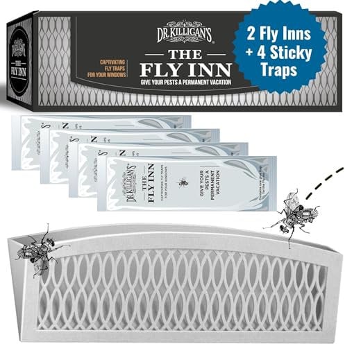 Dr. Killigan's The Fly Inn, Sticky Fly Strips, Indoor Insect Trap, Catches and Hides Bugs Better Than Fly Paper or Ribbon, Fly Catcher Indoor (2+4, Gray)