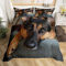 Kinde Bettbezug Set 200x200cm Deutscher Schäferhund Bettwäsche 200x200 Tierhund Collie Bettbezug Set 3 Teilig Mikrofaser Luxus Modern 3D Motiv Mit Reißverschluss und 2 Kissenbezug 80x80cm