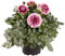 Dalia - Dahlia - la Planta Natural que Iluminará tu Jardín