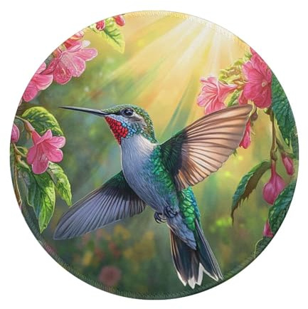 SKKIKHYBPO Schreibtischunterlage mit Vogel-Kolibri-Motiv, rosa Blumen, Gaming-Schreibtischunterlage, Vogel-Mauspad für Mädchen, Frauen, Laptop, Computer, Tastatur und Mauspad, 20,3 cm, 2 Stück