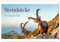 Steinböcke - Die Könige der Alpen (Wandkalender 2025 DIN A2 quer), CALVENDO Monatskalender: Stolze Steinböcke in den Schweizer Alpen (CALVENDO Orte)