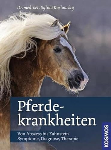Pferdekrankheiten: Von Abszess bis Zahnstein; Symptome, Diagnose, Therapie