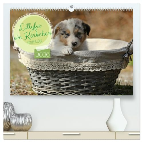 Lillyfee und ein Körbchen voller Glück (hochwertiger Premium Wandkalender 2026 DIN A2 quer), Kunstdruck in Hochglanz: Mutterglück auf vier Pfoten (CALVENDO Tiere)