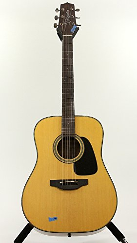Takamine GD10 NS - Natural Satin