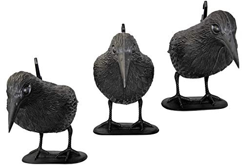 Lead Home Premium Taubenschreck Rabe 3er Set - wetterfester Kunststoff - inkl. ebook Vögel vertreiben | Vogelabwehr, natürl. Schädlingsbekämpfung, Schutz vor lästigen Vögeln Tauben, Möwen, Kleinvögel