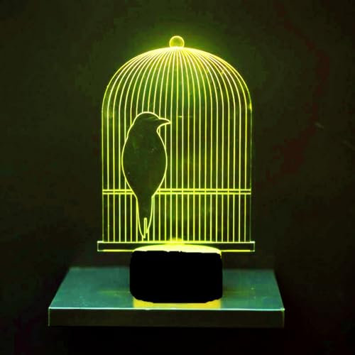Jinson well 3D Vogelkäfig Lampe optische Illusion Nachtlicht, 7 Farbwechsel Touch Switch Tisch Schreibtisch Dekoration Lampen USB Spielzeug