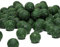 Carpline24 Futterboilies GLM 20 mm, 5 kg Beutel - Boilies zum Anfüttern von Karpfen, Köder für das Karpfenangeln, Angelfutter sinkend mit Lockstoff