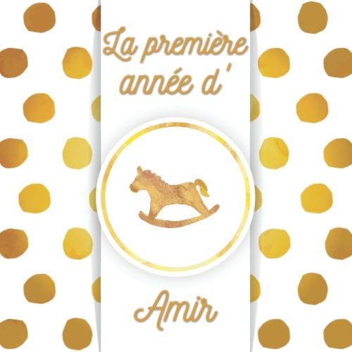 La première année d'Amir: Album bébé à remplir pour la première année de vie - Album naissance garçon