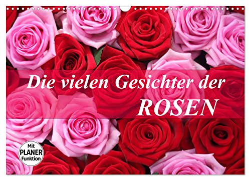 Die vielen Gesichter der Rosen (Wandkalender 2025 DIN A3 quer), CALVENDO Monatskalender: Verschwenderische Rosenpracht (CALVENDO Natur)