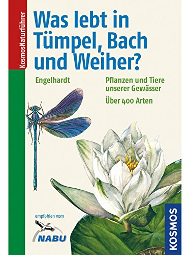 Was lebt in Tümpel, Bach und Weiher?: Pflanzen und Tiere unserer Gewässer