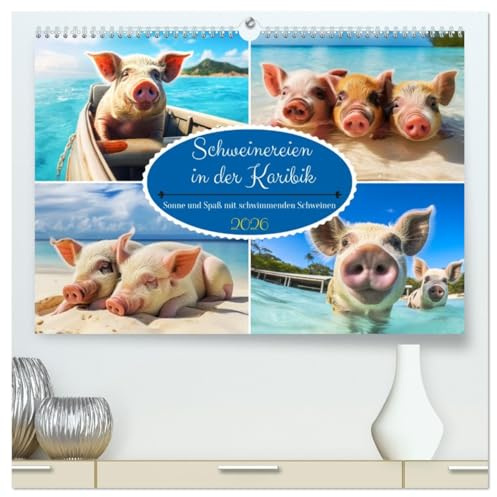 Schweinereien in der Karibik. Sonne und Spaß mit schwimmenden Schweinen (hochwertiger Premium Wandkalender 2026 DIN A2 quer), Kunstdruck in Hochglanz: ... schwimmenden Borstenvieh! (CALVENDO Tiere)