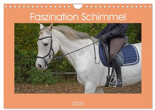 Faszination Schimmel (Wandkalender 2026 DIN A4 quer), CALVENDO Monatskalender: Ein Reittag mit dem Schimmel Wallach Clark und der Schimmel Stute Coco (CALVENDO Tiere)