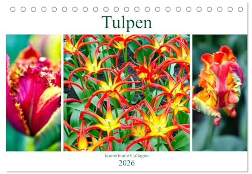 Tulpen - kunterbunte Collagen (Tischkalender 2026 DIN A5 quer), CALVENDO Monatskalender: Kunterbunte Schönheiten - Tulpencollagen. (CALVENDO Natur)