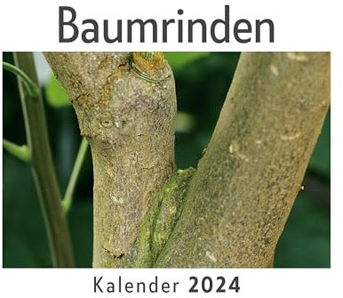 Baumrinden (Wandkalender 2024, Kalender DIN A4 quer, Monatskalender im Querformat mit Kalendarium, Das perfekte Geschenk)