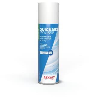 Active Reinigungsschaum für verschiedene Oberflächen, Grüner Tee, 650 ml