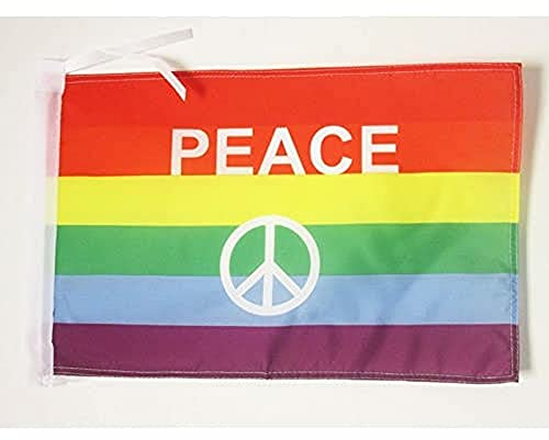 AZ FLAG - Drapeau Arc-en-Ciel Symbole Paix - 45x30 cm - Pavillon LGBT - Gay - Rainbow 100% Polyester avec Deux Cordelettes - 20g