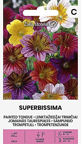 Zalia stotele | TROMPETENZUNGE - SUPERBISSIMA samen | Blumensamen | Pflanze samen | Gardensamen | 1 Pack