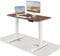 Desktronic HomePro Standing Desk – 120 x 60 cm Height Adjustable Desk with Electric Dual Motor, Touchscreen Controller & Integrated USB/USB-C, 3 Memory Presets