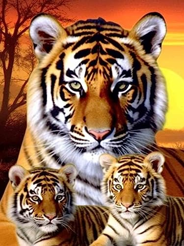 Bimkole DIY 5D Diamond Painting Zubehör Drei Tiger, Tier Diamant Malerei Kit Voll Runde Bohrer Malen nach Zahlen Malerei Stickerei Kreuzstich Diamond Dekoration 30X40 cm