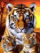 Bimkole DIY 5D Diamond Painting Zubehör Drei Tiger, Tier Diamant Malerei Kit Voll Runde Bohrer Malen nach Zahlen Malerei Stickerei Kreuzstich Diamond Dekoration 30X40 cm