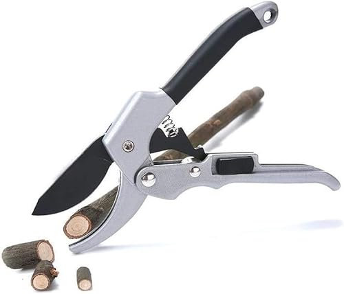 Gartenschere, Heckenschere, Gartenschere, Pflanzenbesatz, Gartenbau, 20 cm, Ratsche, Gartenschere, Handamboss, Astschere, Beschneidungsschnitt, Gartenschere, Strauch, Obstgarten