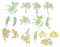 CORHAD 60St Spanplatten-Aufkleber Album-Aufkleber Scrapbooking-Aufkleber Scrapbook-Aufkleber Book Sticker Vintage Sticker Vintage-Aufkleber für das Journaling Aufkleber ästhetisch Plastik