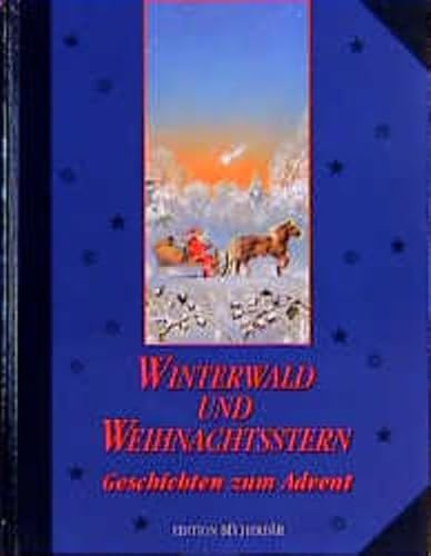 Winterwald und Weihnachtsstern: Geschichten zum Advent (Edition Bücherbär)