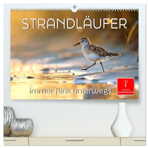 Strandläufer - immer flink unterwegs (hochwertiger Premium Wandkalender 2026 DIN A2 quer), Kunstdruck in Hochglanz: Liebenswerte Vögelchen - im Laufeifer auf Nahrungssuche (CALVENDO Tiere)