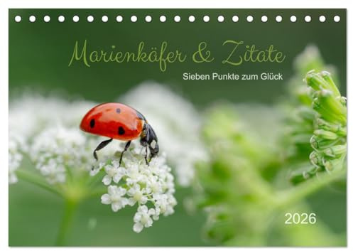 Marienkäfer & Zitate - Sieben Punkte zum Glück (Tischkalender 2026 DIN A5 quer), CALVENDO Monatskalender: Glückskäfer-Kalender: Zitate und Fotos (CALVENDO Tiere)