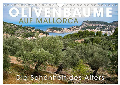 Olivenbäume auf Mallorca - Die Schönheit des Alters (Wandkalender 2026 DIN A4 quer), CALVENDO Monatskalender: Faszination mallorquinischer Olivenbäume (CALVENDO Natur)